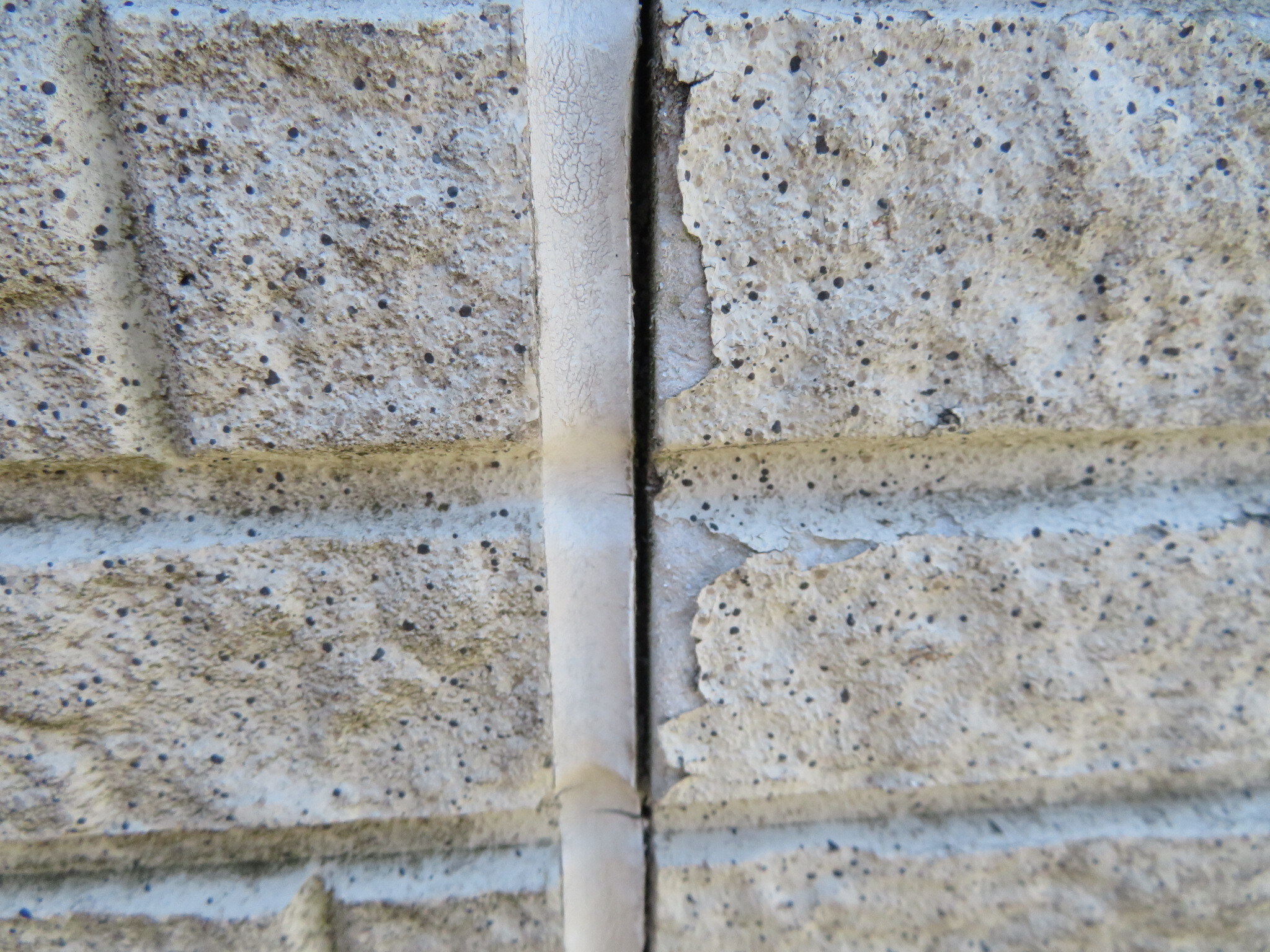 高耐久な外壁塗装で失敗しない！耐久性を重視した塗料と施工選びのポイント