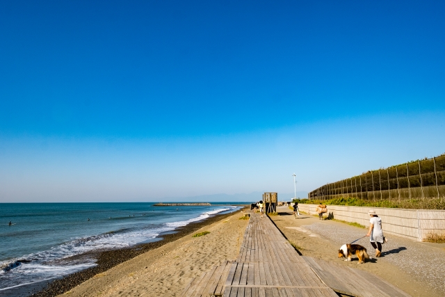 サザンビーチちがさき